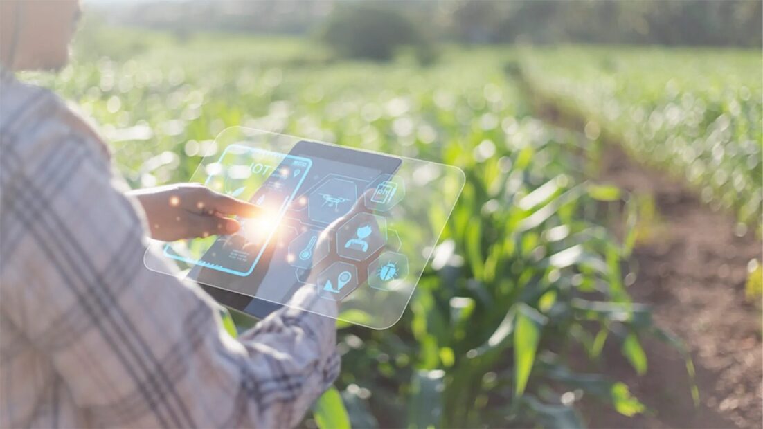 Claves para el crecimiento: Blockchain e Inteligencia Artificial en el agro