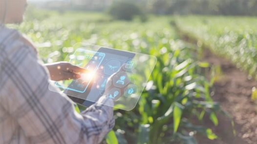 Claves para el crecimiento: Blockchain e Inteligencia Artificial en el agro