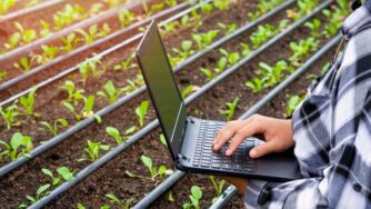 Transformación digital: gestión de datos para el crecimiento del agro