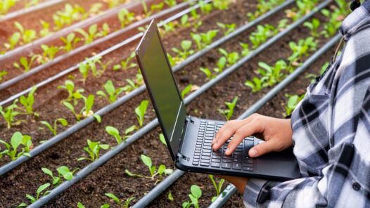 Transformación digital: gestión de datos para el crecimiento del agro